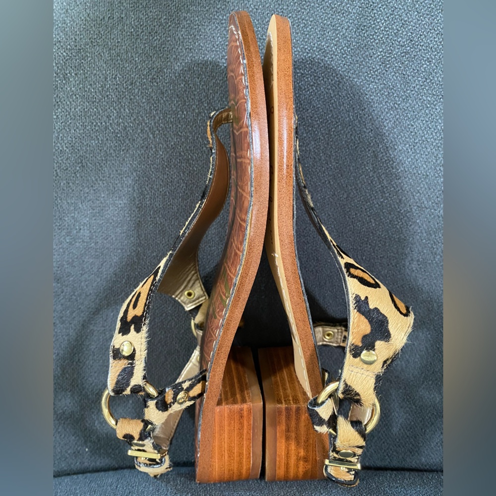 Sam Edelman Jude Leopard Print Calf Hair Thong Sandal - Picture 7 of 16